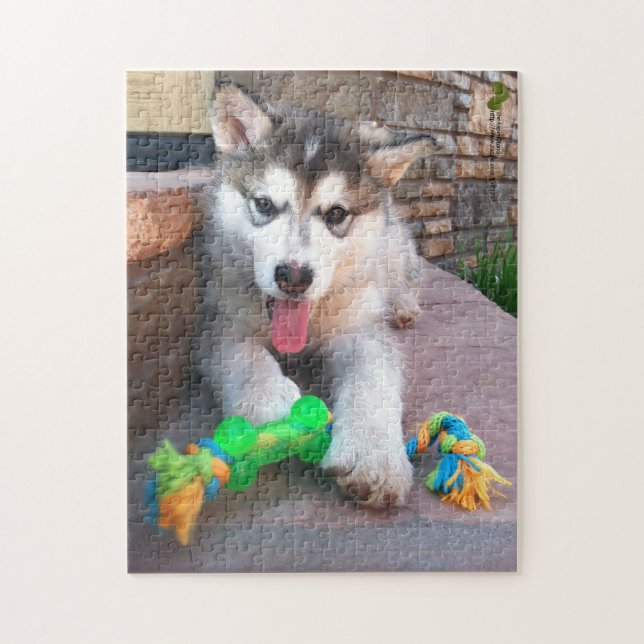 Cute Alaskan Malamute Puppy Close-Up Photo Jigsaw Puzzle (Vertical)