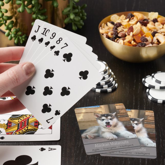 Cute Alaskan Malamute Puppy Dog Template Photo Poker Cards (In Situ)