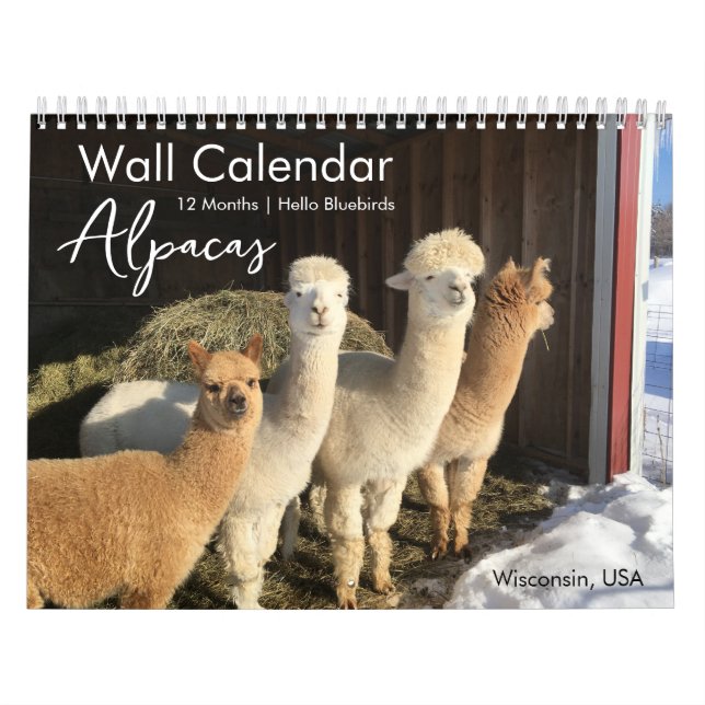 Cute Alpaca 12 Month Inspirational Calendar (Cover)