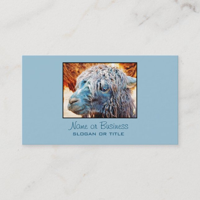 Cute Alpaca Baby in Blue Business Card (Front)