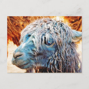 Cute Alpaca Baby in Blue Postcard