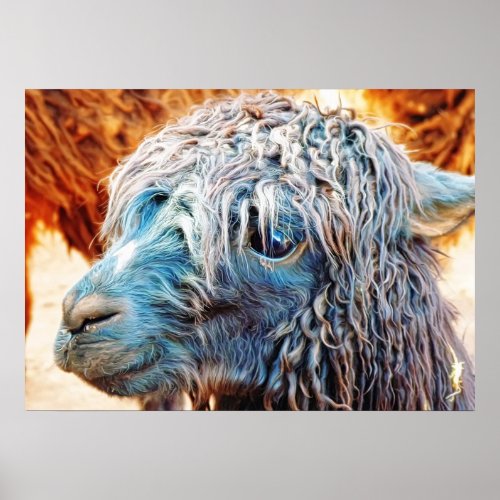 Cute Alpaca Baby in Blue Poster