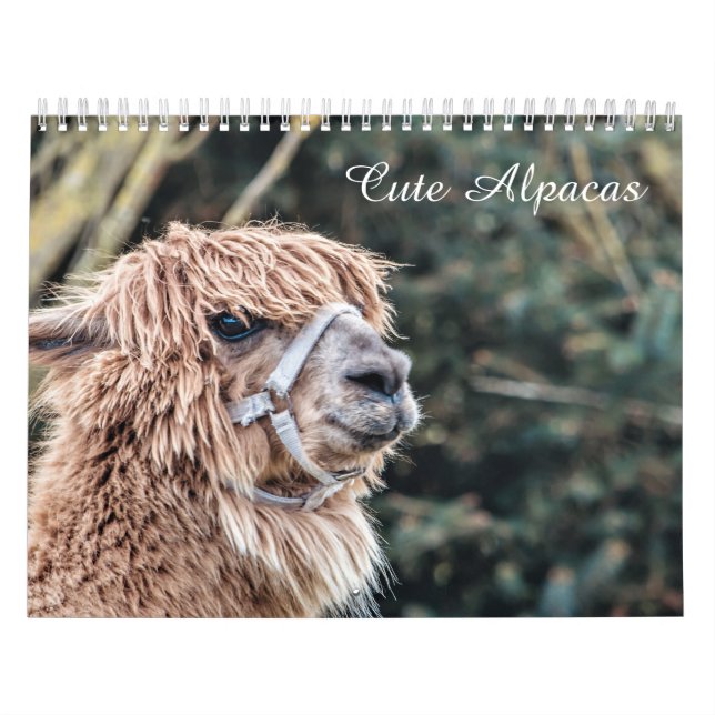 Cute Alpaca Calendar Fully Customizable (Cover)
