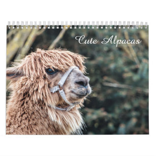 Cute Alpaca Calendar Fully Customizable