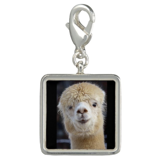 Cute Alpaca face    Charm (Front)