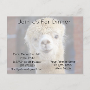 Cute Alpaca face        Invitation Postcard