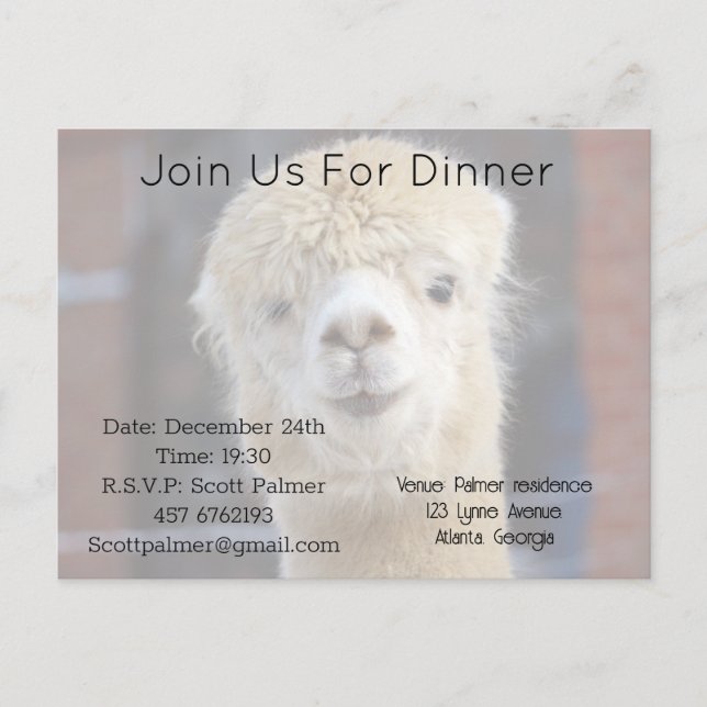 Cute Alpaca face        Invitation Postcard (Front)