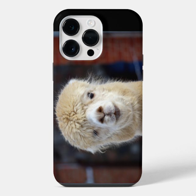 Cute Alpaca face         Iphone Case (Back)