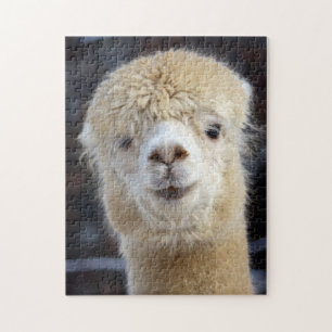 Cute Alpaca face         Jigsaw Puzzle