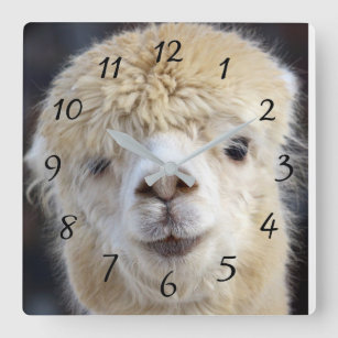 Cute Alpaca face Square Wall Clock