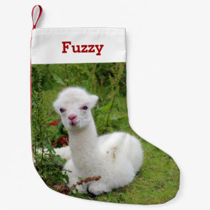 cute alpaca lover pet photo and name personalized small christmas stocking - Llama Christmas Decoration cute alpaca lover pet photo and name personalized small christmas stocking - Llama Christmas Decoration