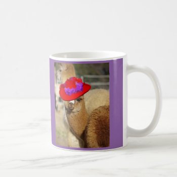 Cute Alpaca Mugs by WalnutCreekAlpacas at Zazzle