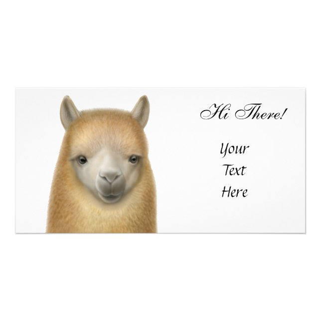 Cute Alpaca Photo Card (Front)