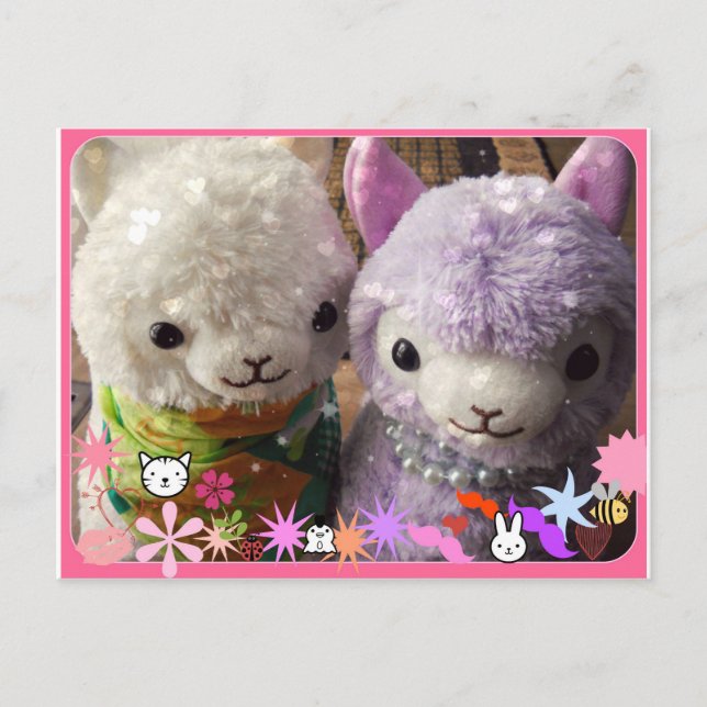 Cute Alpaca Post Card (Front)