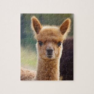 Cute Alpaca Puzzle