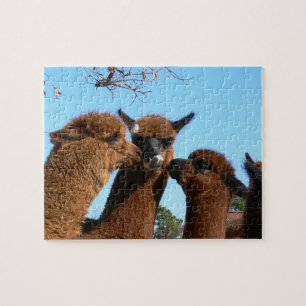 Cute Alpaca Puzzles with Gift Box