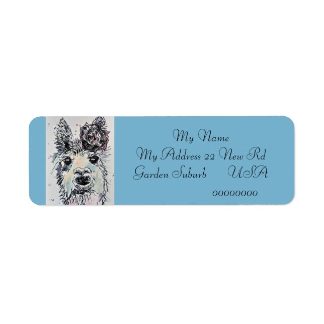 Cute Alpacca LLama Animal Return Address Labels (Front)