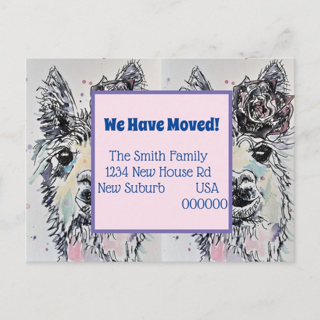 Cute Alpacca Llamma New Address Moving Postcard (Front)