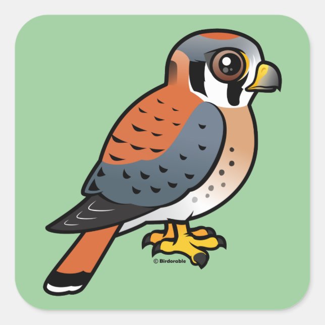 Cute American Kestrel Square Sticker (Front)