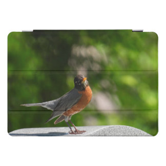 Cute American Robin Bird iPad Pro Cover
