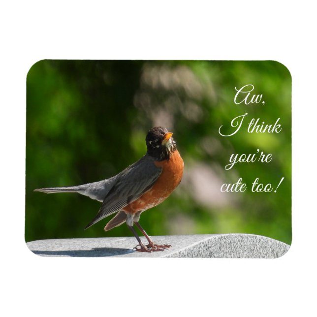 Cute American Robin *customize* Magnet (Horizontal)