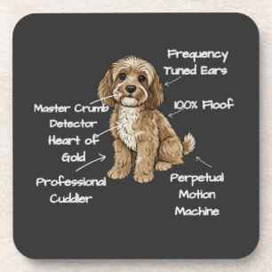 Cute Anatomy of a Cockapoo Dog Lover Gift Beverage Coaster