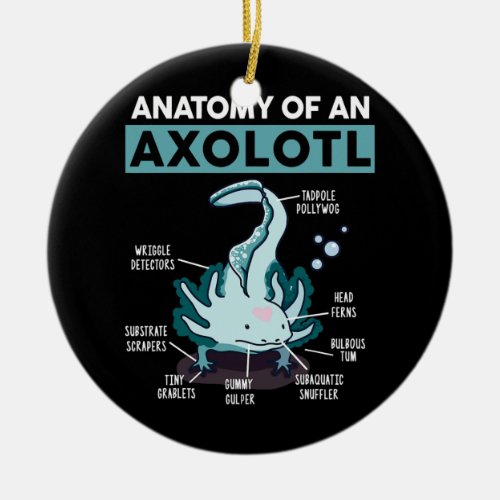 Cute Anatomy Of An Axolotl Salamander Ceramic Ornament