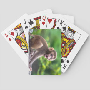 Cute and Adorable Baby Monkey Poker Cards