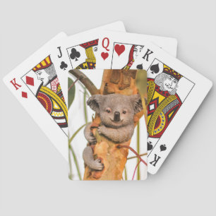 Cute and beautiful Koala Poker Cards