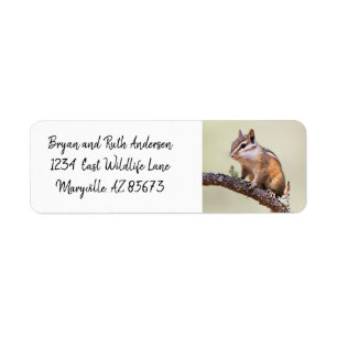 Cute and chubby chipmunk label