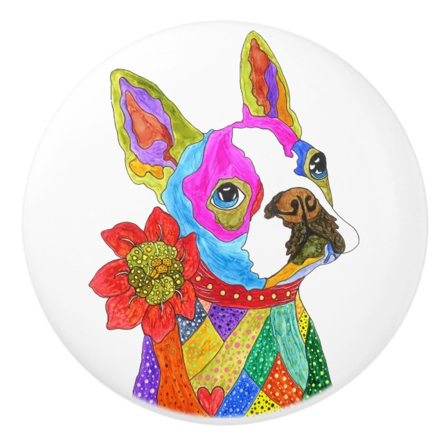 Cute and Colorful Boston Terrier Door Knob (Front)