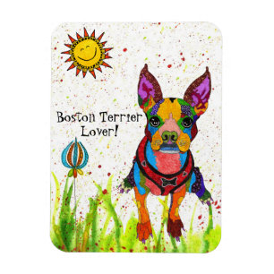 Cute and Colorful Boston Terrier Magnet