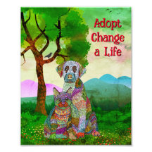 Cute and Colorful Dog and Cat Adoption