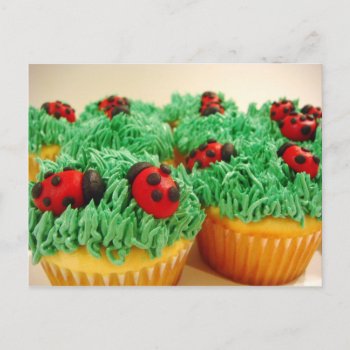 Cute And Colorful Ladybug Cupcakes Postcard by HTMimages at Zazzle