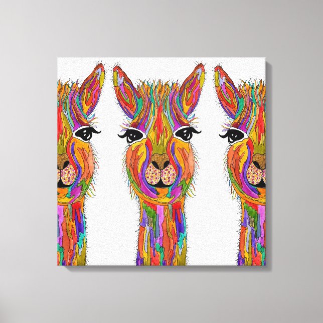 Cute and Colorful Llama Canvas - 20" x 20" (Front)