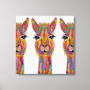 Cute and Colorful Llama Canvas - 20" x 20" Print