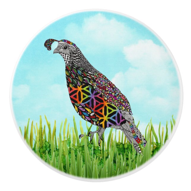 Cute and Colorful Mountain Quail Door Knob (Front)