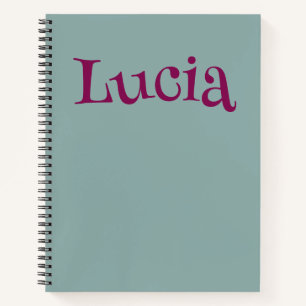 Cute and Colorful Notebook