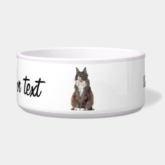 Cute and Cool, Maine Coon Cat Bowl