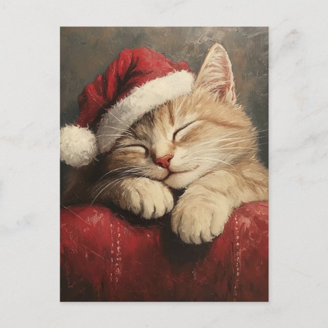 Cute and Cozy Christmas Cat in Santa Hat Postcard (Front)