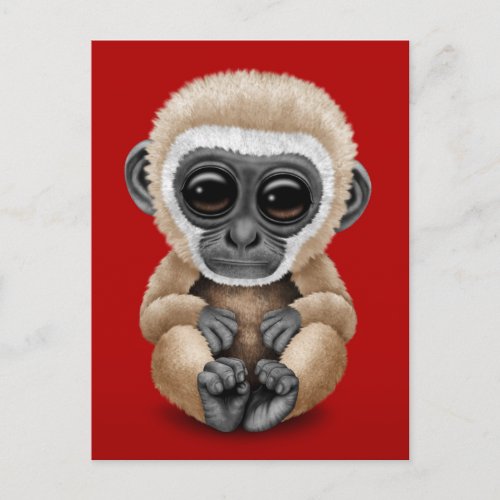 Cute and Curious Baby Gibbon on Red Postcard