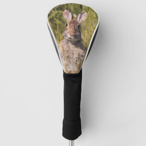 Cute and Curious Eastern Cottontail Rabbit Golf Head Cover