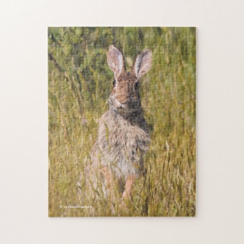 Cute and Curious Eastern Cottontail Rabbit Jigsaw Puzzle