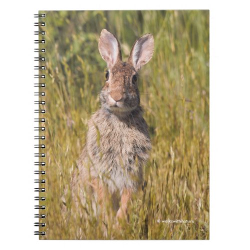 Cute and Curious Eastern Cottontail Rabbit Notebook