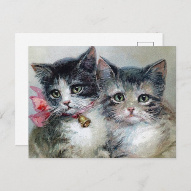 Cute and Cuter, Adorable Kittens, Postcard (Front/Back)