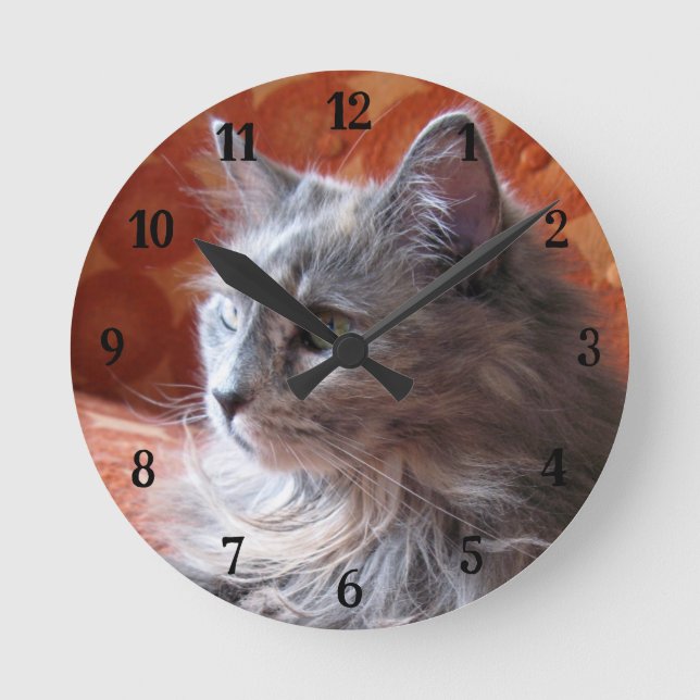 Cute and Fluffy Gray Cat Round Clock (Front)