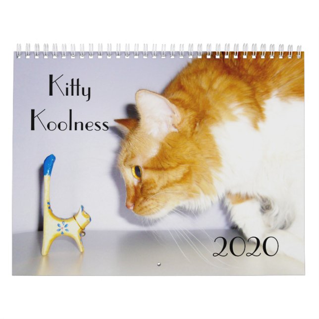 Cute and Fun "Kitty Koolness" 2024 Cat Calendar (Cover)