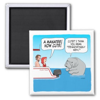 Cute And Funny And Very Sexy Manatee Square Sticke Magnet by chuckink at Zazzle