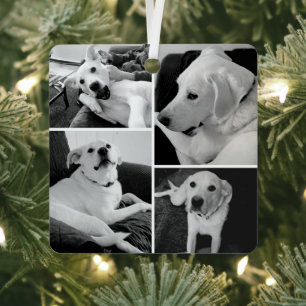 Cute and Funny Black and White Dog Photos Metal Ornament