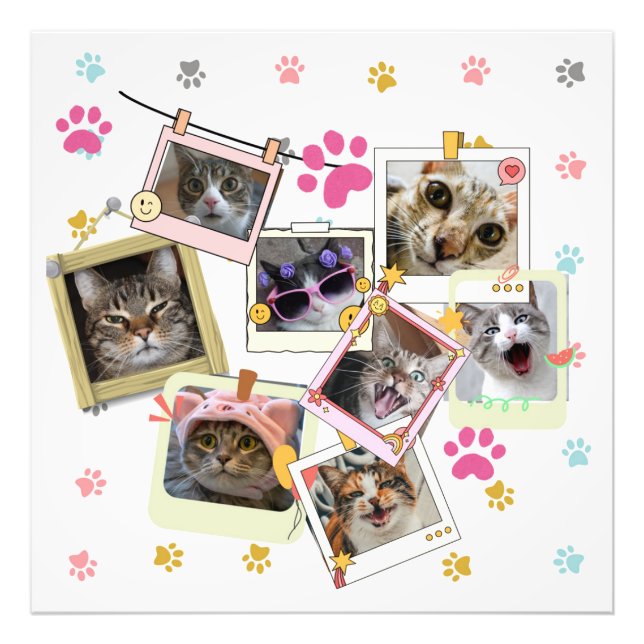 Cute and funny cat collage design  photo print (Front)